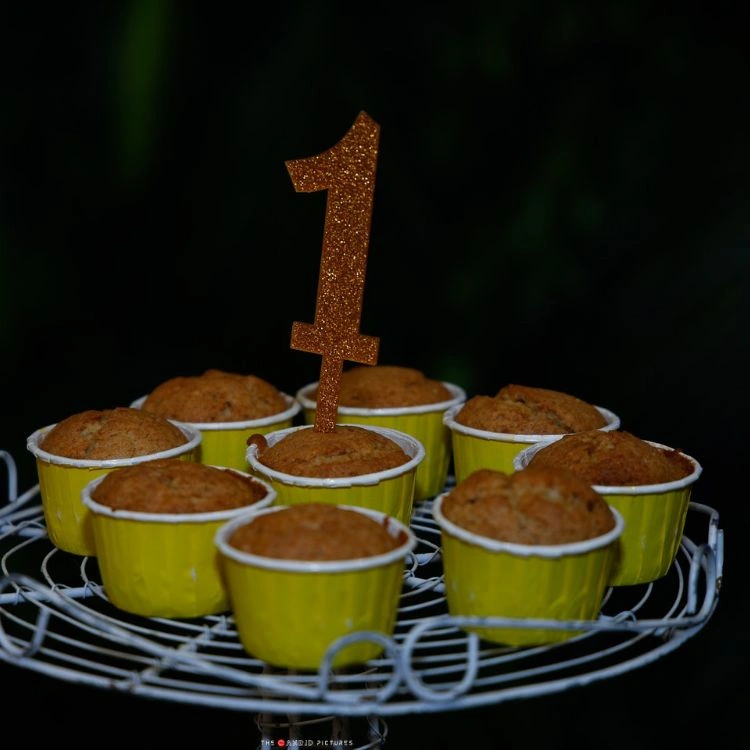 Jungle Safari Birthday Decor Package